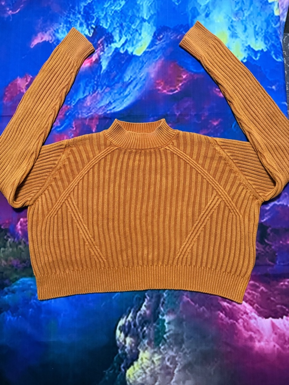 Cropped Ribbed Turtleneck Sweater in Burnt Orange